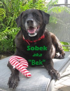 christmas 2010 - bek (2)