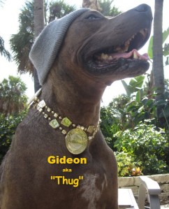 christmas 2010 - gids (2)